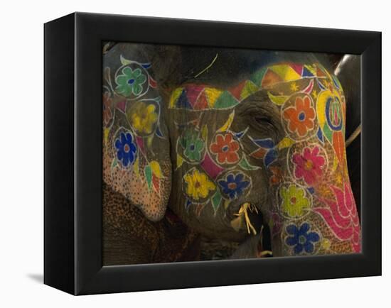 Painted Elephant, Used for Transporting Tourists, Amber Palace, Jaipur, Rajasthan, India-Jeremy Bright-Framed Premier Image Canvas
