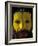 Painted Face of Native in the Huli Wigmen Tribe, Tari, Papua New Guinea-Bill Bachmann-Framed Photographic Print