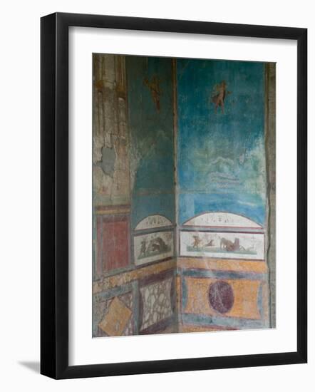 Painted Frescoes, Pompei, Campania, Italy-Walter Bibikow-Framed Photographic Print