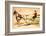 Painted Harness Pony-Edward Penfield-Framed Giclee Print