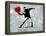 Painted heart Thrower-Banksy-Framed Premier Image Canvas