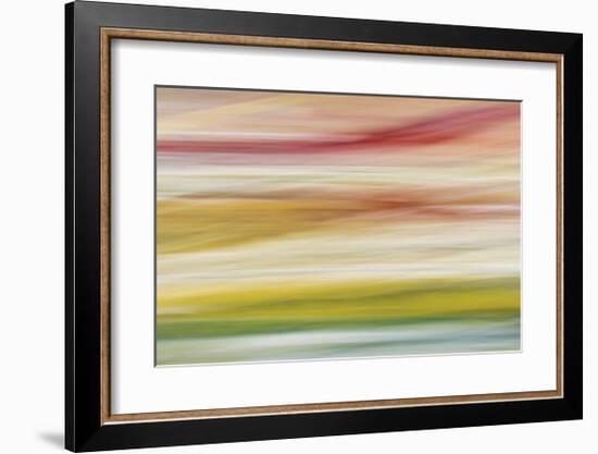 Painted Hills in Motion 2-Don Paulson-Framed Giclee Print