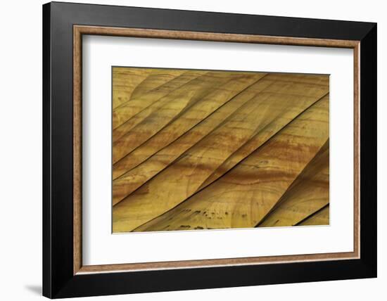 Painted Hills, John Day Fossil Beds, Mitchell, Oregon, USA.-Michel Hersen-Framed Photographic Print