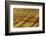 Painted Hills, John Day Fossil Beds, Mitchell, Oregon, USA.-Michel Hersen-Framed Photographic Print