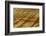 Painted Hills, John Day Fossil Beds, Mitchell, Oregon, USA.-Michel Hersen-Framed Photographic Print