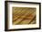 Painted Hills, John Day Fossil Beds, Mitchell, Oregon, USA.-Michel Hersen-Framed Photographic Print