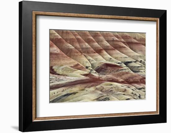 Painted Hills, John Day Fossil Beds National Monument, Mitchell, Oregon, USA-Michel Hersen-Framed Photographic Print