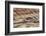 Painted Hills, John Day Fossil Beds National Monument, Mitchell, Oregon, USA-Michel Hersen-Framed Photographic Print