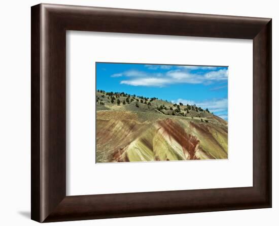 Painted Hills, John Day Fossil Beds National Monument, Mitchell, Oregon, USA.-Michel Hersen-Framed Photographic Print