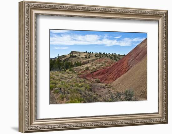 Painted Hills, John Day Fossil Beds National Monument, Mitchell, Oregon, USA-Michel Hersen-Framed Photographic Print