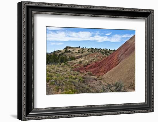 Painted Hills, John Day Fossil Beds National Monument, Mitchell, Oregon, USA-Michel Hersen-Framed Photographic Print