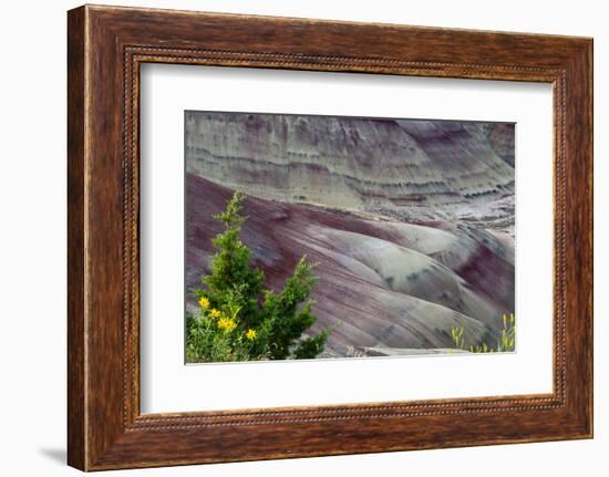 Painted Hills, John Day Fossil Beds National Monument, Mitchell, Oregon, USA-Michel Hersen-Framed Photographic Print