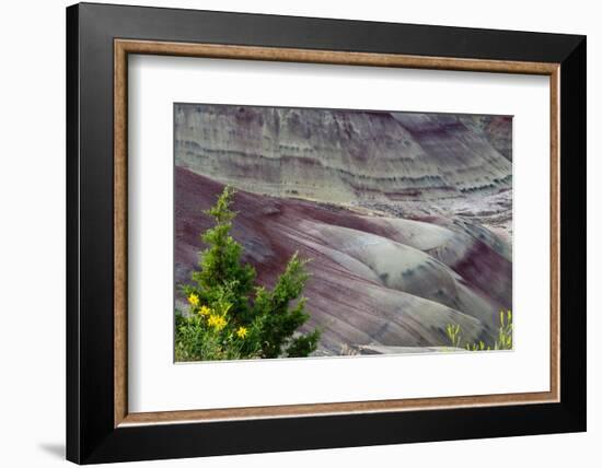 Painted Hills, John Day Fossil Beds National Monument, Mitchell, Oregon, USA-Michel Hersen-Framed Photographic Print