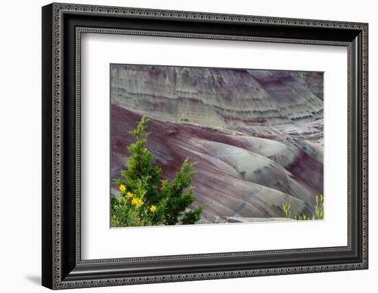 Painted Hills, John Day Fossil Beds National Monument, Mitchell, Oregon, USA-Michel Hersen-Framed Photographic Print