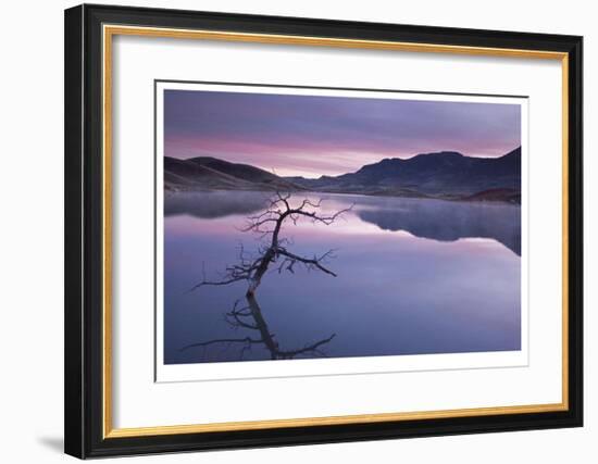 Painted Hills Lake at Dawn I-Donald Paulson-Framed Giclee Print