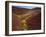 Painted Hills National Monument-Steve Terrill-Framed Photographic Print