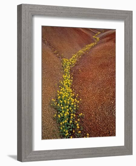 Painted Hills National Monument-Steve Terrill-Framed Photographic Print