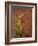 Painted Hills National Monument-Steve Terrill-Framed Photographic Print