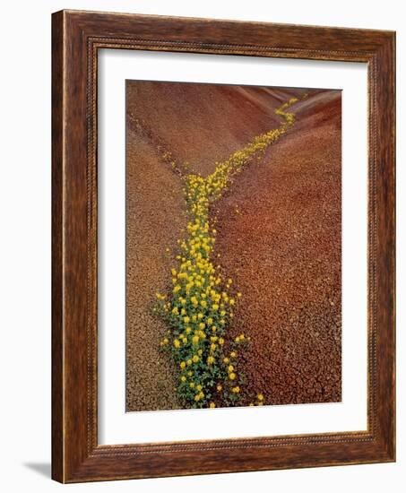 Painted Hills National Monument-Steve Terrill-Framed Photographic Print