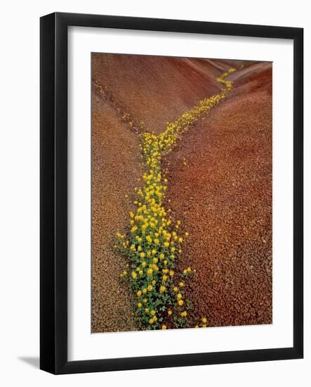 Painted Hills National Monument-Steve Terrill-Framed Photographic Print