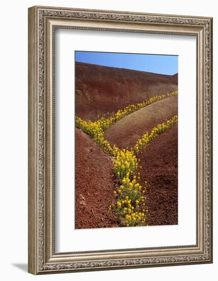 Painted Hills National Monument-Steve Terrill-Framed Photographic Print