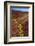 Painted Hills National Monument-Steve Terrill-Framed Photographic Print