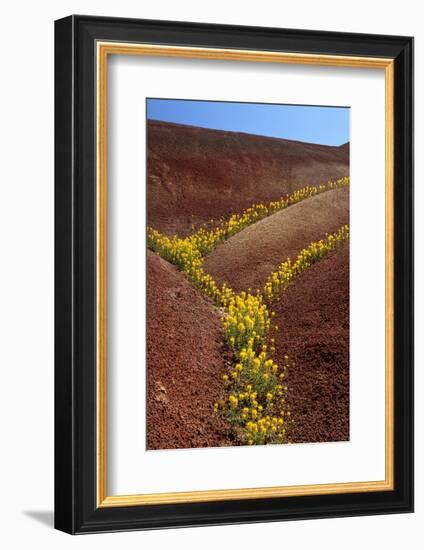 Painted Hills National Monument-Steve Terrill-Framed Photographic Print