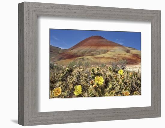 Painted Hills National Monument-Steve Terrill-Framed Photographic Print