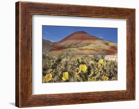 Painted Hills National Monument-Steve Terrill-Framed Photographic Print