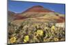 Painted Hills National Monument-Steve Terrill-Mounted Photographic Print