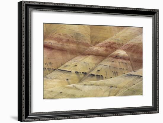 Painted Hills Unit 4-Don Paulson-Framed Giclee Print