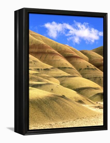 Painted Hills Unit, John Day Fossil Beds National Monument, Oregon-Howie Garber-Framed Premier Image Canvas