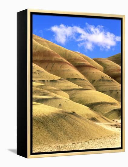 Painted Hills Unit, John Day Fossil Beds National Monument, Oregon-Howie Garber-Framed Premier Image Canvas