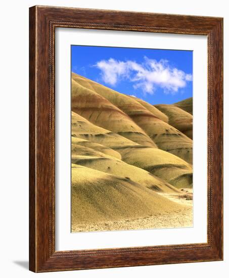 Painted Hills Unit, John Day Fossil Beds National Monument, Oregon-Howie Garber-Framed Photographic Print