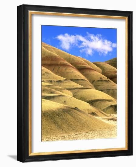 Painted Hills Unit, John Day Fossil Beds National Monument, Oregon-Howie Garber-Framed Photographic Print