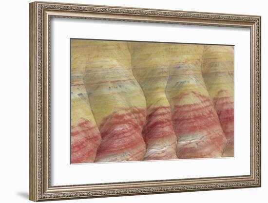 Painted Hills Unit-Don Paulson-Framed Giclee Print