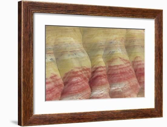 Painted Hills Unit-Don Paulson-Framed Giclee Print