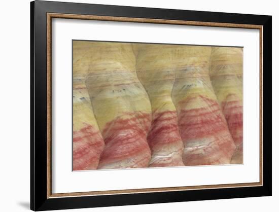 Painted Hills Unit-Don Paulson-Framed Giclee Print