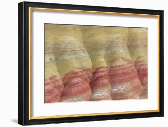Painted Hills Unit-Don Paulson-Framed Giclee Print