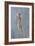 Painted Juno-Lincoln Seligman-Framed Giclee Print