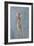 Painted Juno-Lincoln Seligman-Framed Giclee Print