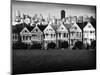 Painted Ladies Mono-John Gusky-Mounted Photographic Print