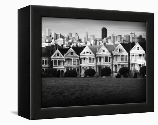 Painted Ladies Mono-John Gusky-Framed Premier Image Canvas