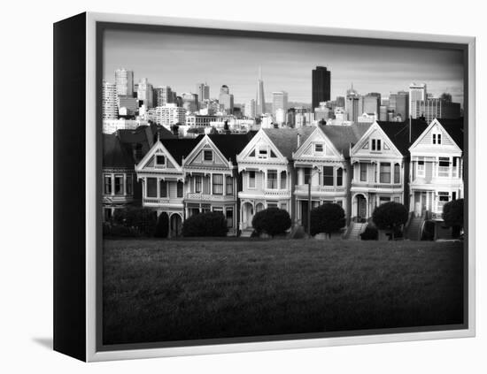 Painted Ladies Mono-John Gusky-Framed Premier Image Canvas