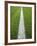 Painted Line on Athletic Field-Randy Faris-Framed Photographic Print