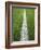 Painted Line on Athletic Field-Randy Faris-Framed Photographic Print