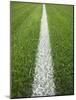 Painted Line on Athletic Field-Randy Faris-Mounted Photographic Print