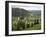 Painted Monastery of Sucevita, Moldavia and Southern Bucovina Area, Romania, Europe-Gary Cook-Framed Photographic Print