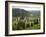 Painted Monastery of Sucevita, Moldavia and Southern Bucovina Area, Romania, Europe-Gary Cook-Framed Photographic Print