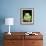 Painted Monkey Frog, Native to Paraguay-David Northcott-Framed Photographic Print displayed on a wall